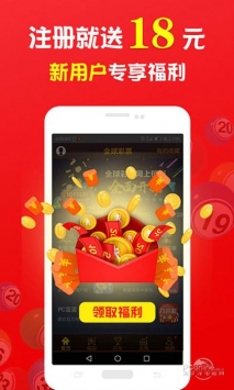 王中王一肖中打一，深度解析一種獨(dú)特的文化現(xiàn)象，王中王一肖中打一，獨(dú)特文化現(xiàn)象的深度探究
