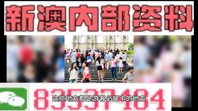 新澳精準資料免費提供，深度解析與實用指南，新澳精準資料解析與實用指南，免費資料分享