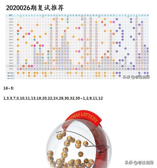 王中王026期指一生肖，深度解讀與SEO優(yōu)化策略，王中王026期生肖深度解讀與SEO優(yōu)化策略全解析