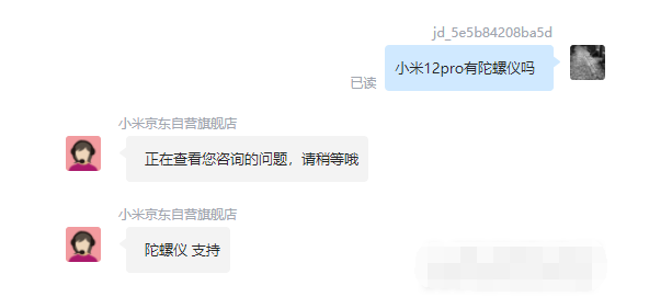 王中王一肖碼，探索關(guān)鍵詞背后的奧秘，王中王一肖碼，揭秘關(guān)鍵詞背后的奧秘