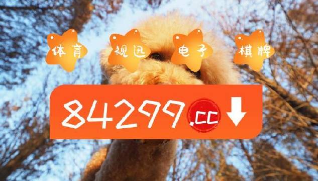 今期必中一肖一碼白小姐，揭秘彩票背后的秘密與策略，揭秘彩票背后的秘密與策略，白小姐今期必中一肖一碼解析