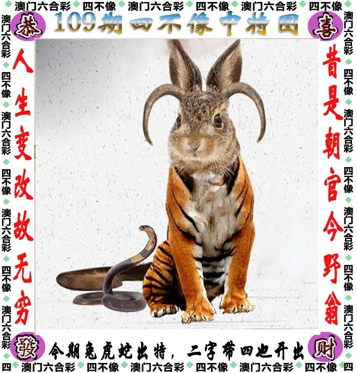 四不像王中王資料一肖，深度解析與探索，四不像王中王資料一肖，深度解析與探索揭秘