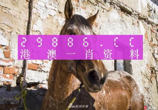 王中王資料一門肖中，深度解析與探索，王中王資料一門肖詳解，深度解析與探索