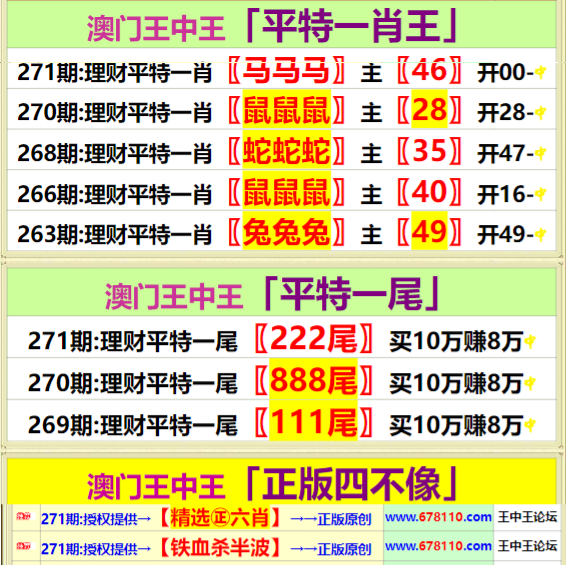 王中王4487一肖中特，揭秘彩票背后的秘密，揭秘彩票背后的秘密，王中王4487一肖中特解析