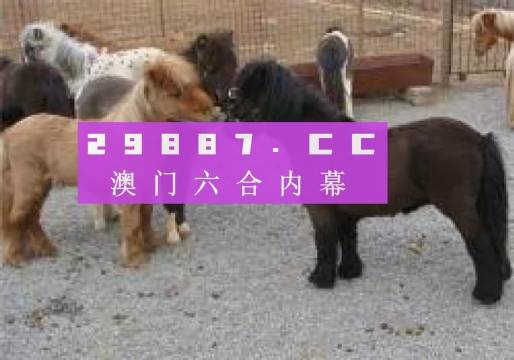 王中王平特一肖四不像圖，深度解析與SEO優(yōu)化策略，王中王平特一肖四不像圖，深度解析與SEO優(yōu)化策略探討