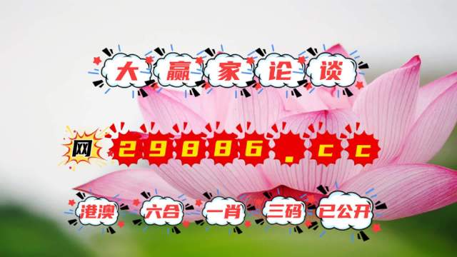 王中王資料提供一肖中特，深度解析與SEO優(yōu)化策略，王中王資料揭秘，一肖中特深度解析與SEO優(yōu)化策略全攻略
