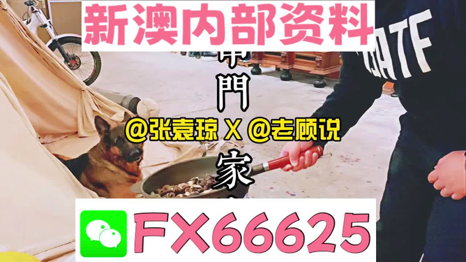 新澳門精準資料大全，管家婆料解析與探索，澳門精準資料大全，管家婆料解析與深度探索