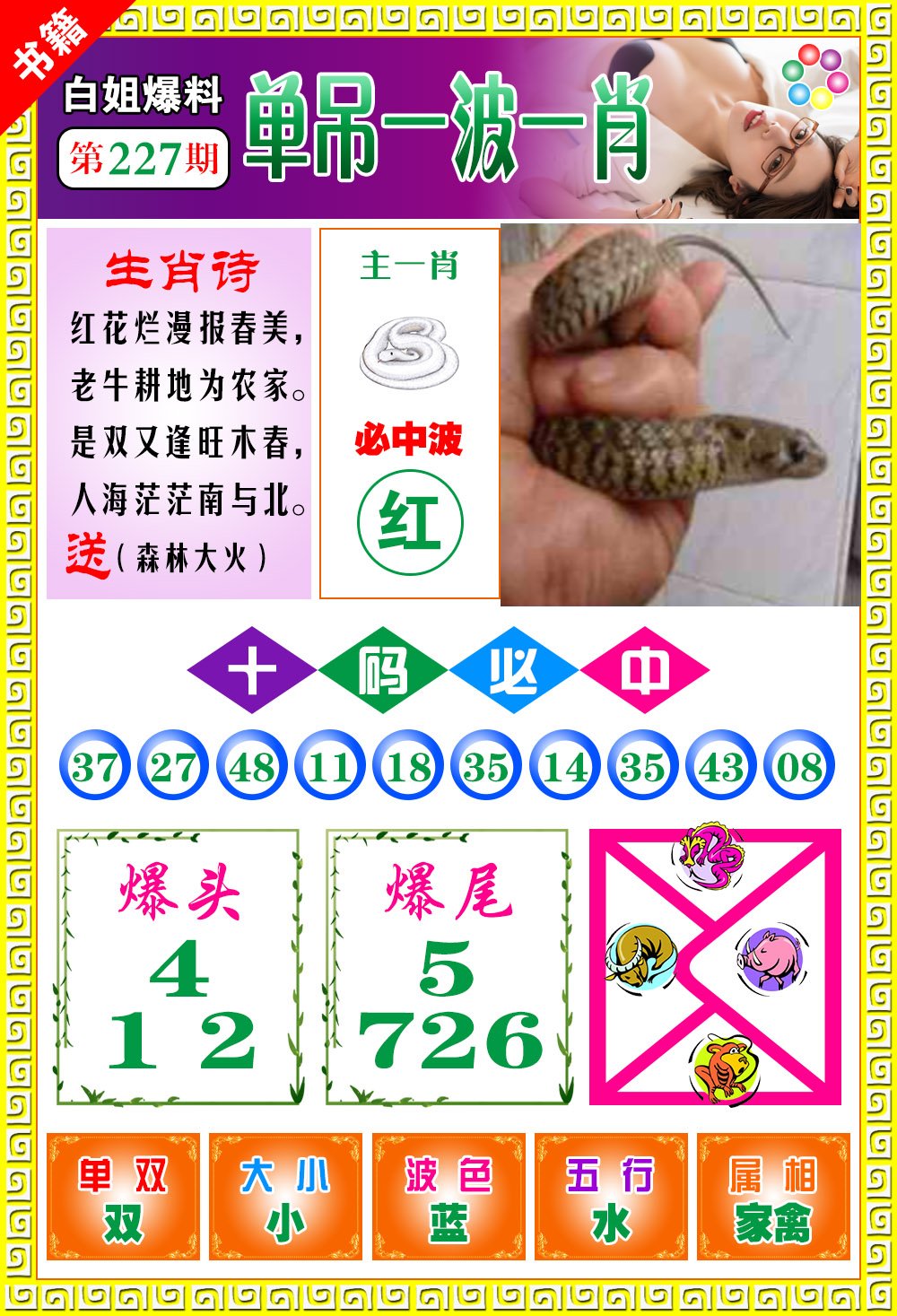王中王免費一肖開獎，揭秘彩票背后的秘密，揭秘彩票背后的秘密，王中王免費一肖開獎探秘