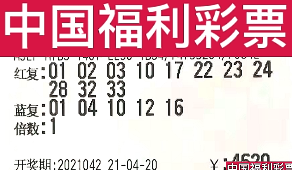 新奧門今晚開獎結(jié)果查詢第243期，全面解析與預測，新奧門第243期開獎結(jié)果解析與預測，今晚開獎揭秘