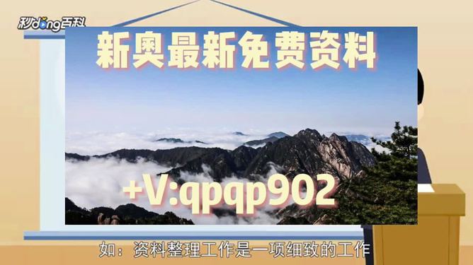 新奧49正版資料，全面解析與SEO優(yōu)化策略，新奧49正版資料詳解與SEO優(yōu)化策略探討