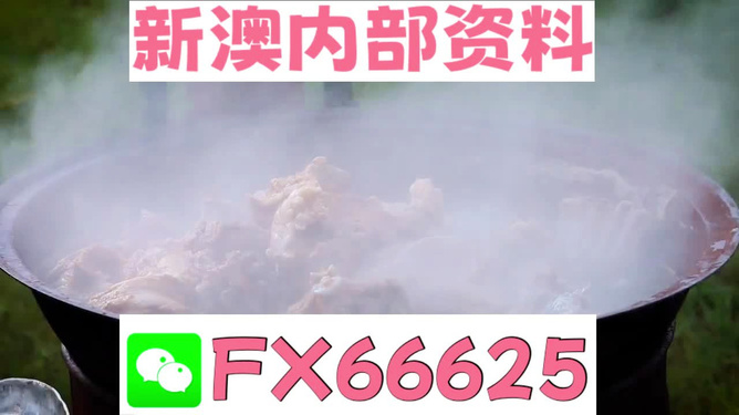 新澳全年免費(fèi)資料大全，一站式獲取優(yōu)質(zhì)資源指南，新澳全年優(yōu)質(zhì)資源免費(fèi)獲取指南
