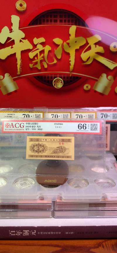 王中王一字一句拆一肖，深度解析背后的奧秘，王中王拆字揭秘，探尋背后奧秘揭曉生肖之謎