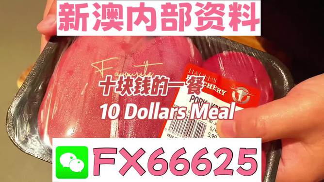 揭秘2025新奧精準正版資料，全方位解讀與SEO優(yōu)化策略，揭秘2025新奧精準正版資料，全方位解讀與SEO策略優(yōu)化指南