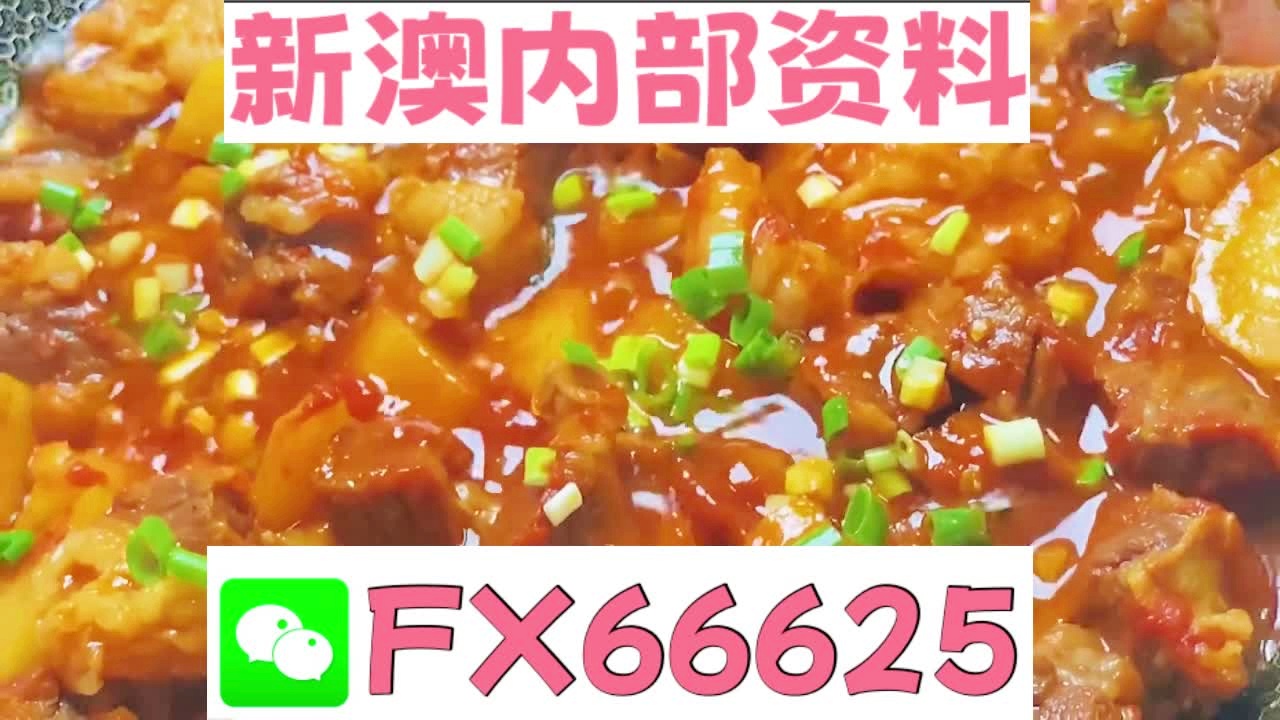 新奧天天免費(fèi)資料大全——探索與優(yōu)化的SEO之旅，新奧天天免費(fèi)資料大全，SEO探索與優(yōu)化之旅