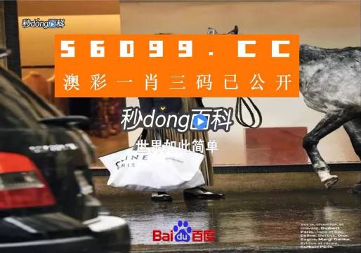 新澳一碼三中三資料，探索與解析，新澳一碼三中三資料解析與探索