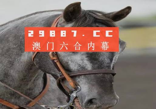 澳門一一碼一特一中準選今晚，探索真實有效的選擇與策略，澳門今晚一特一中準選碼，真實有效的選擇與策略探索