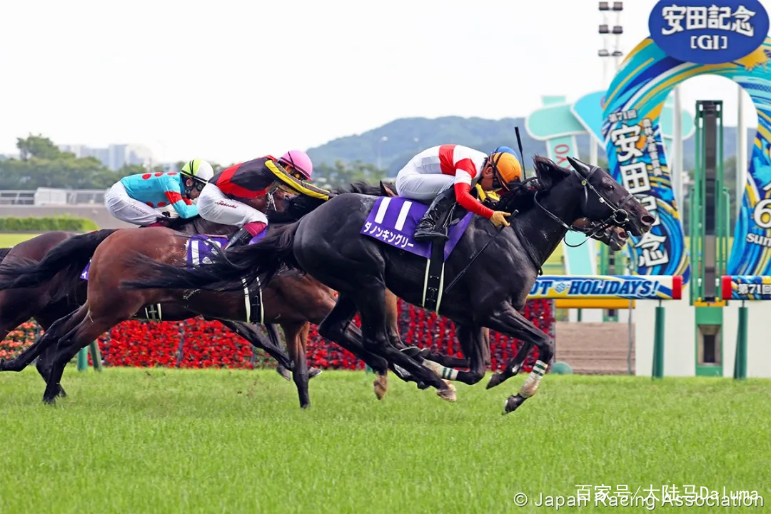 香港王中王與一馬中特肖的獨特魅力，深度解析與探索，香港王中王與一馬中特肖的獨特魅力，深度探索與解析