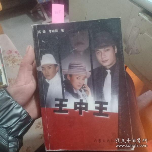 王中王資料一肖中天，深度解析與探索，王中王資料一肖中天，深度剖析與探索