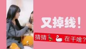 王中王欲錢詩猜一肖，王中王欲錢詩暗示的生肖之謎