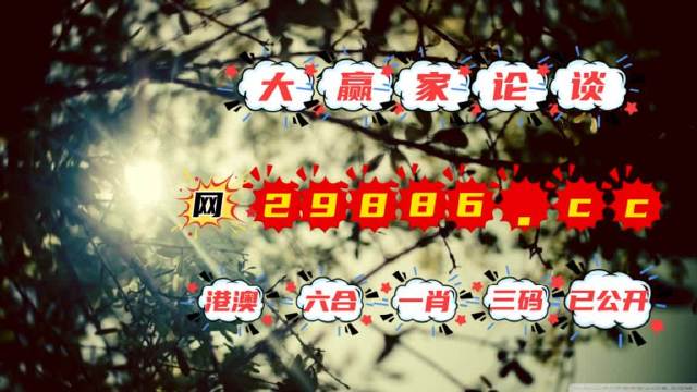 澳門今必開一肖一碼，深度解析與探索，澳門生肖一碼深度解析與探索