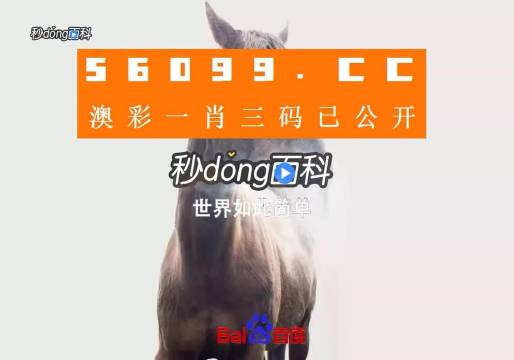 香港內部公開資料一碼，深度解析與探索，香港內部公開資料一碼深度解析與探索揭秘