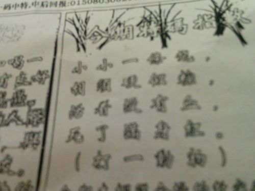 揭秘必中劉伯溫猜一生肖的神秘面紗，揭秘劉伯溫生肖預測背后的神秘面紗