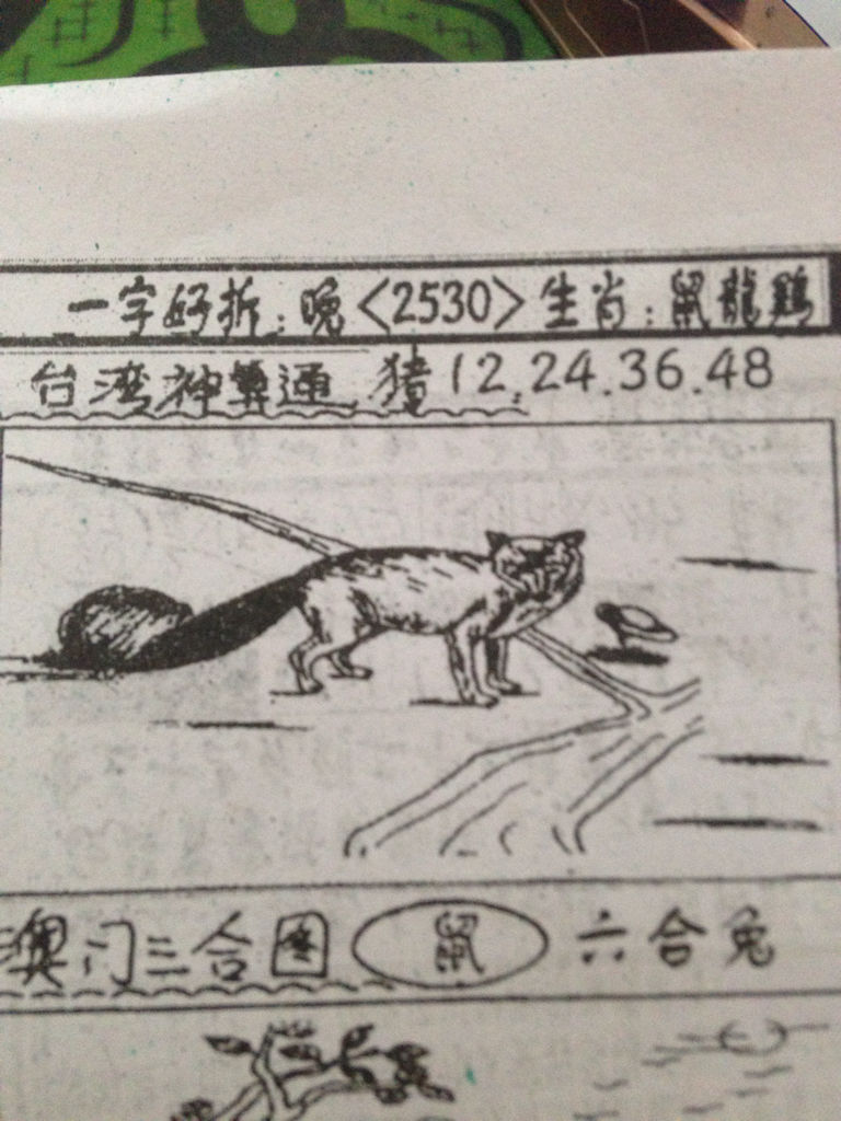 揭秘生肖奧秘，看圖猜一生肖劉伯溫的傳奇故事，揭秘生肖奧秘，劉伯溫傳奇故事中的生肖之謎探索
