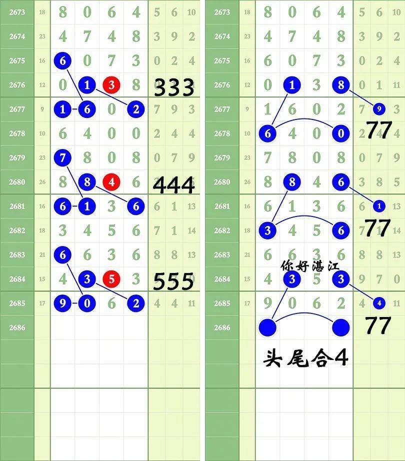 一肖三碼王中王絕密，揭秘背后的秘密與策略洞察，揭秘一肖三碼王中王絕密策略與背后秘密