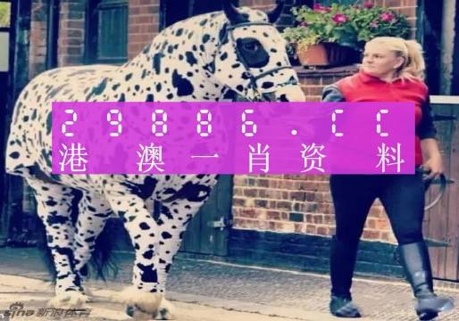 王中王一肖一特一中香港，探索關(guān)鍵詞背后的故事，香港關(guān)鍵詞背后的故事探索，王中王一肖一特一中
