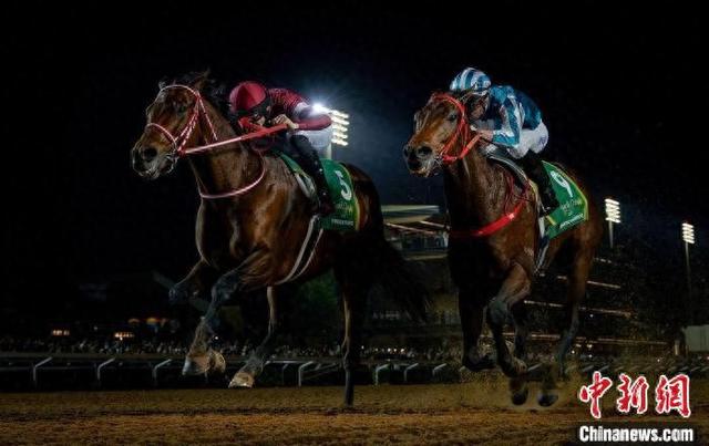 香港王中王一肖中特馬，探索背后的奧秘，香港王中王一肖中特馬背后的奧秘探索