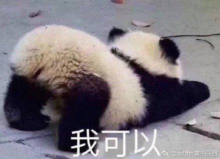 揭秘劉伯溫特一肖與四不像的神秘面紗——探尋背后的故事與真相，劉伯溫特一肖與四不像背后的故事與真相揭秘