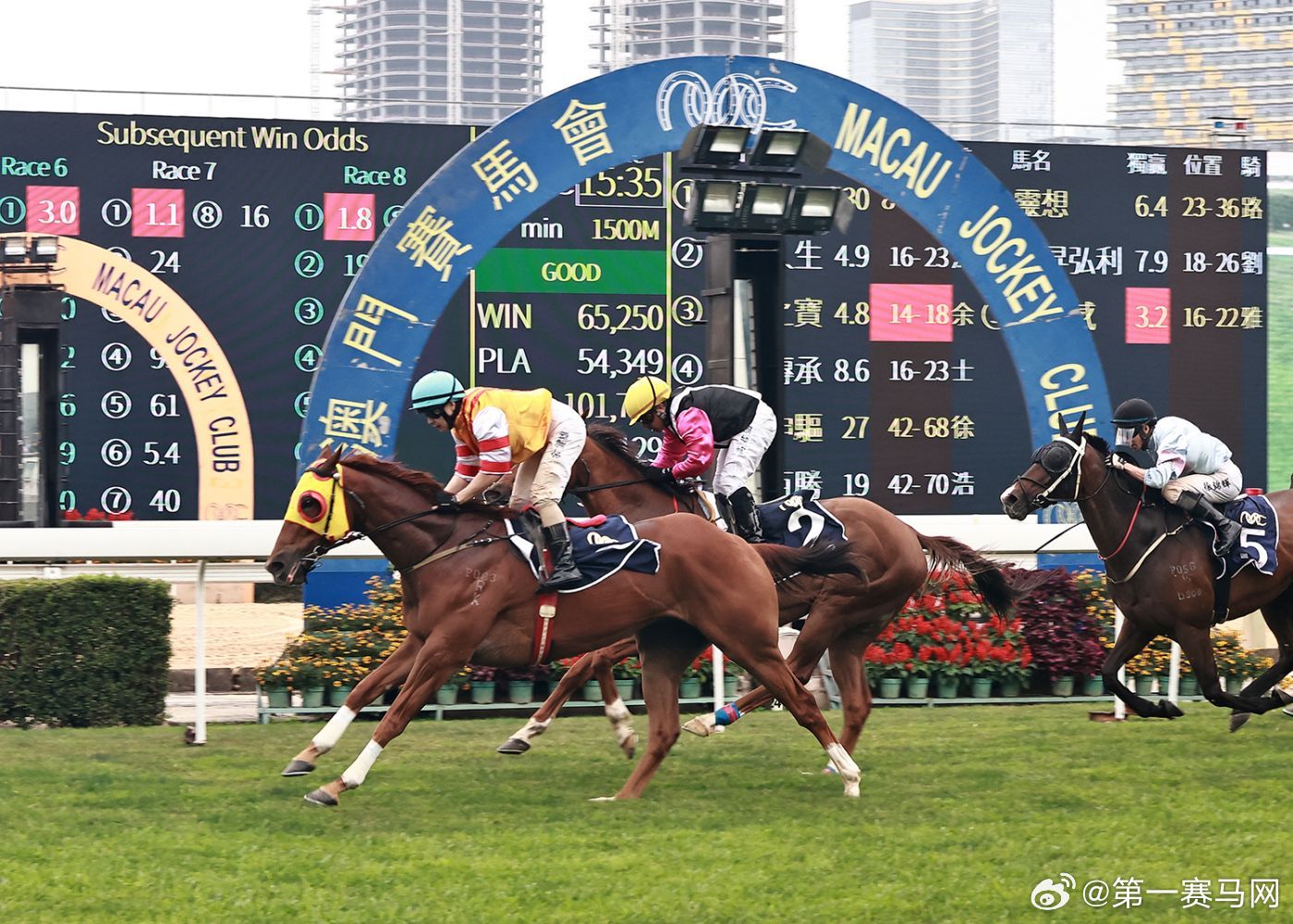 澳門馬今天開什么特馬——探索澳門賽馬世界的奧秘，澳門賽馬揭秘，今日特馬探索之旅