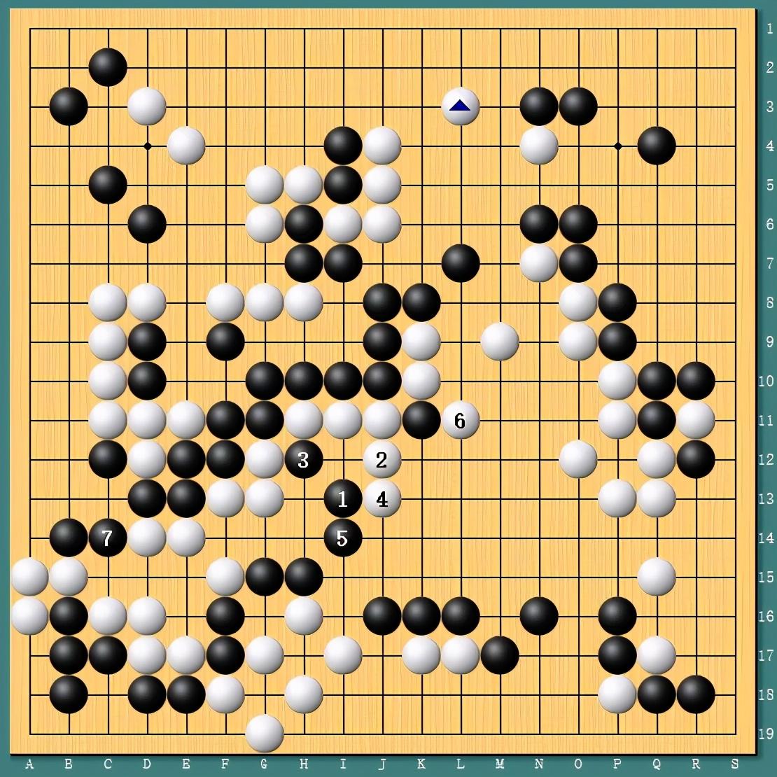 王中王四肖一碼資料論壇，探索與解析，王中王四肖一碼資料論壇，深度探索與解析