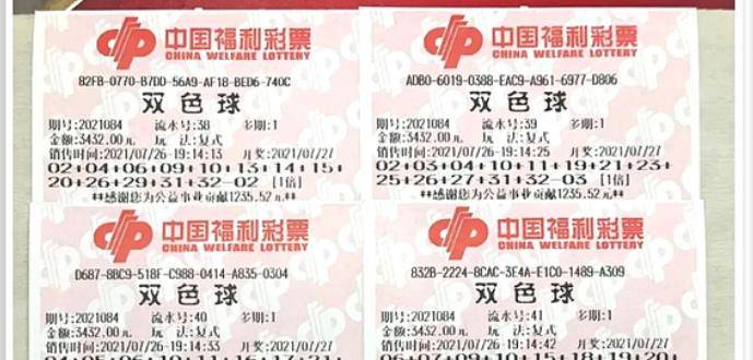 王中王084期指一生肖，解讀背后的秘密與生肖運(yùn)勢(shì)分析，王中王084期生肖揭秘，秘密解讀與運(yùn)勢(shì)展望