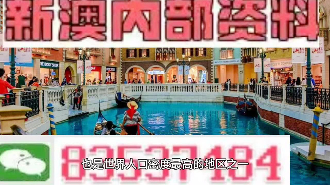 澳門王中王六碼新澳門，探索與解析，澳門王中王六碼新澳門，深度探索與解析