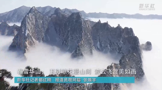 澳門最精準(zhǔn)龍門，探索真正的精準(zhǔn)之道，澳門最精準(zhǔn)龍門，揭秘真正的精準(zhǔn)之道
