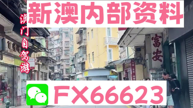新澳精準(zhǔn)資料免費(fèi)提供，探索與利用資源助力成功，新澳精準(zhǔn)資料免費(fèi)分享，助力成功探索與利用資源