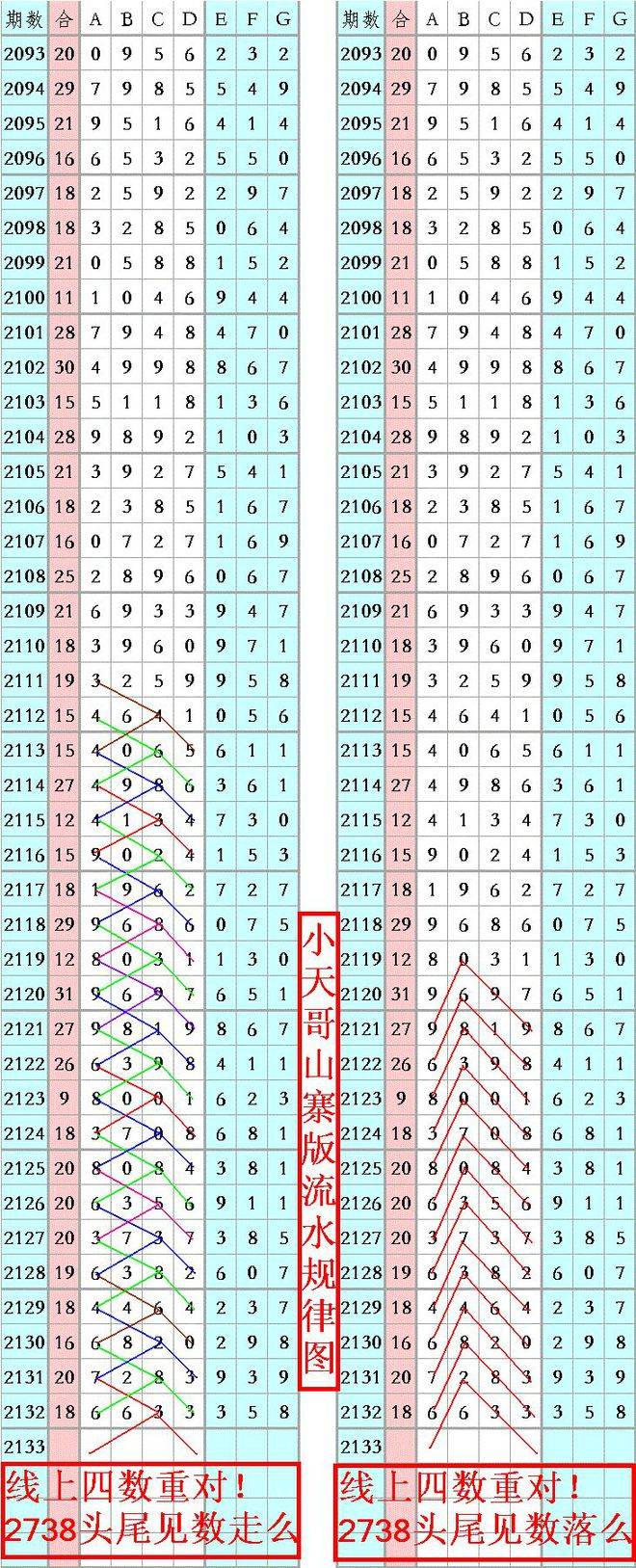 王中王資料一肖正特馬，深度解析與探索，王中王資料一肖正特馬深度解析與探索揭秘
