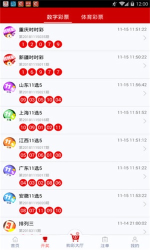 一碼一肖，揭秘背后的秘密與探索其獨(dú)特魅力，揭秘一碼一肖背后的秘密與獨(dú)特魅力探索