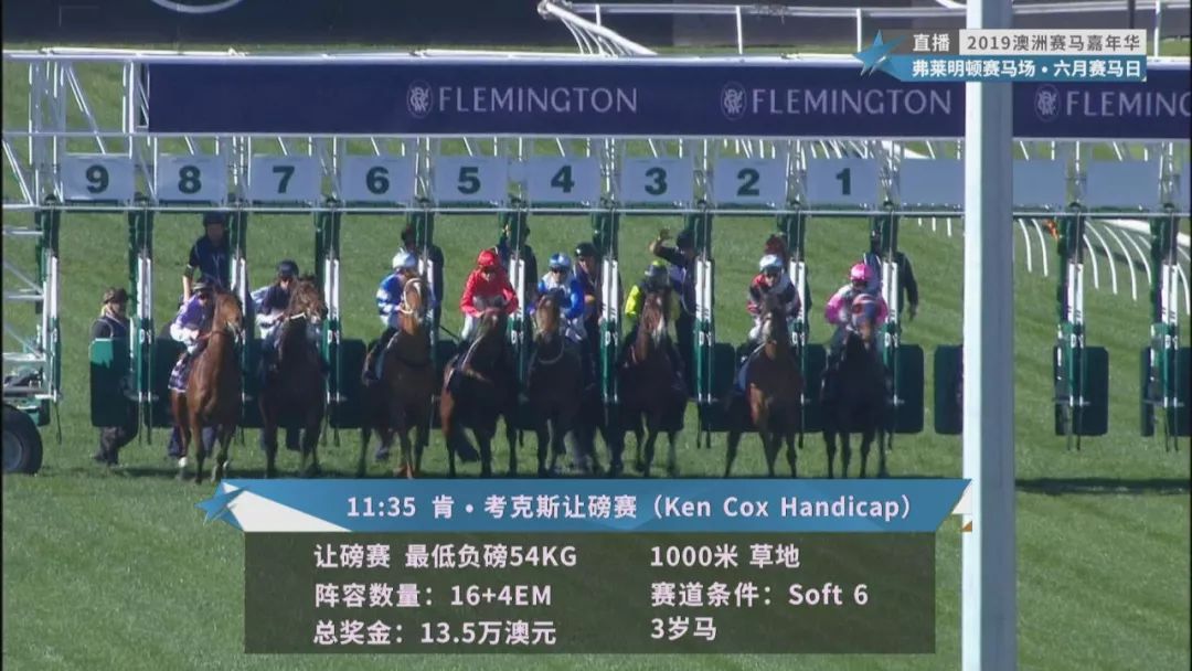 賽馬澳門六月開獎結(jié)果，探索與期待，澳門六月賽馬開獎揭曉，探索結(jié)果引期待