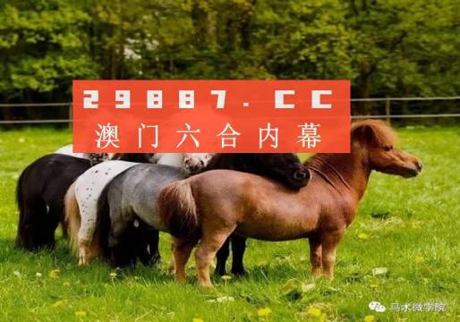 揭秘王中王四不像平特一肖，神秘現(xiàn)象的背后真相，揭秘王中王四不像平特一肖，神秘現(xiàn)象真相大揭秘