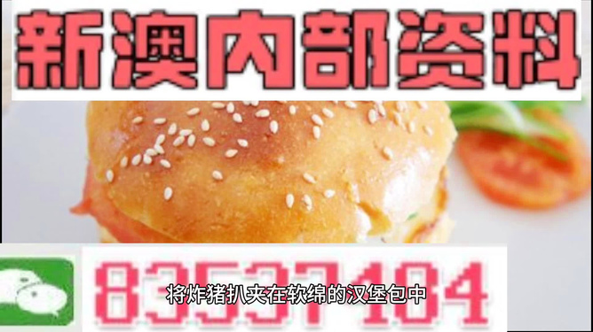 2025新澳正版資料精準解析，2025新澳正版資料精準解析手冊