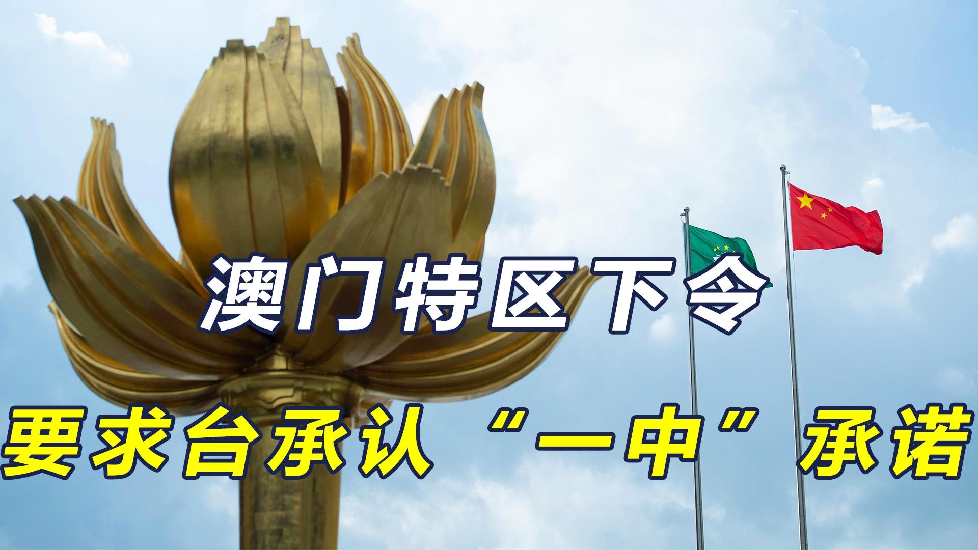 澳門一碼一肖一恃一中312期，揭秘與探索彩票文化背后的秘密，澳門彩票文化揭秘，一碼一肖背后的探索與奧秘