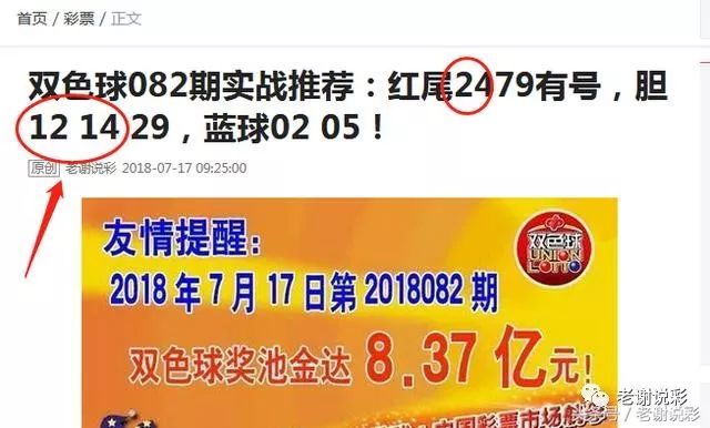 王中王082期指一生肖——探尋生肖魅力，洞悉運(yùn)勢(shì)奧秘，探尋生肖魅力，揭秘運(yùn)勢(shì)奧秘——王中王生肖運(yùn)勢(shì)解析 082期