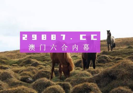 澳門六開(kāi)獎(jiǎng)結(jié)果2023開(kāi)獎(jiǎng)記錄查詢網(wǎng)站——全面解析與最新資訊，澳門六開(kāi)獎(jiǎng)結(jié)果最新解析與資訊，全面查詢2023年開(kāi)獎(jiǎng)記錄