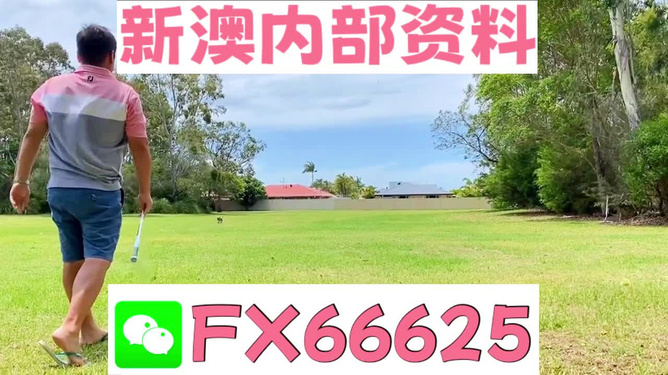王中王一碼二肖，揭秘背后的秘密，揭秘王中王一碼二肖背后的秘密