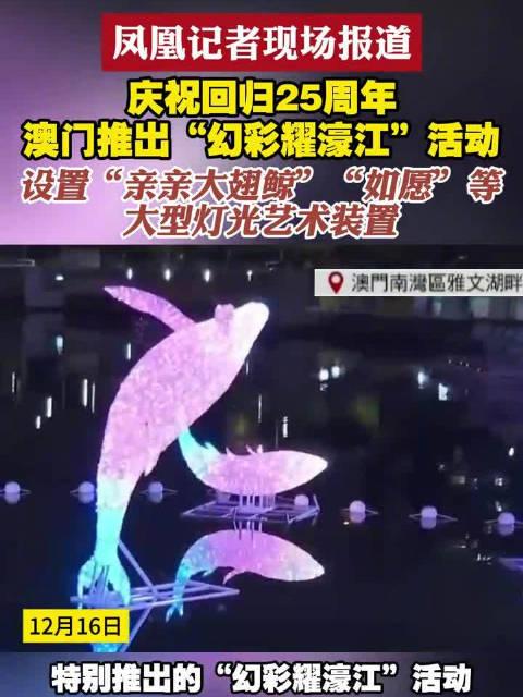 新澳門六開獎結(jié)果查詢濠江論壇——快速獲取開獎信息的首選平臺，澳門六開獎結(jié)果查詢首選平臺，濠江論壇快速更新開獎信息