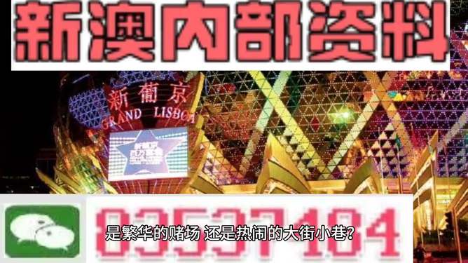 新澳門精準(zhǔn)資料大全管家婆料，探索與解析，澳門精準(zhǔn)資料大全解析，探索管家婆料內(nèi)幕
