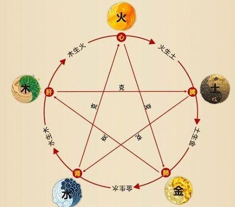 鐵算算盤4887最準資料，揭秘其背后的秘密與優(yōu)勢，揭秘鐵算算盤4887，最準資料背后的秘密與優(yōu)勢