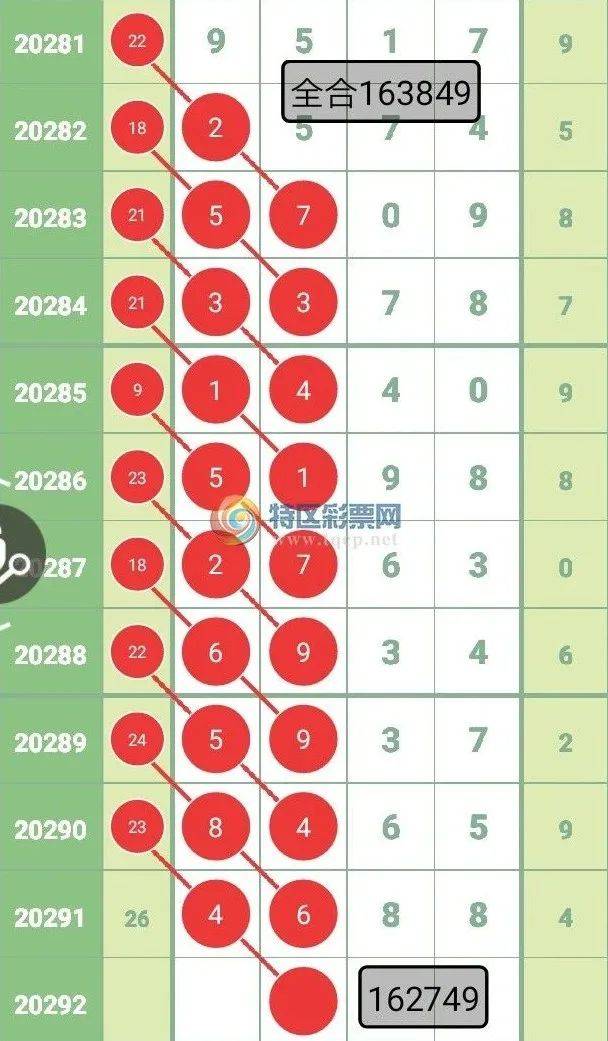 王中王彩票查詢精選號(hào)碼，探索彩票背后的秘密與策略，王中王彩票查詢，揭秘精選號(hào)碼背后的秘密與策略